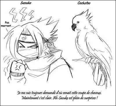 D'o vient la coiffure de Sasuke selon l'image ?