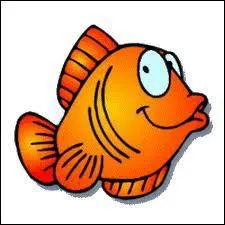 La sole zbre existe :