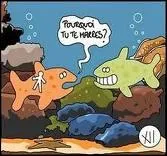 Le requin flemard existe :