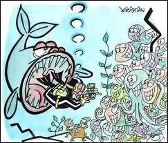 Le requin grande gueule existe :