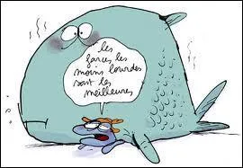 Le requin timide existe :