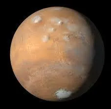 Quelle est cette plante ?