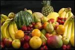 Quels fruits constituent une importante culture d'exportation ?