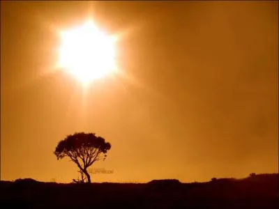 A qui doit-on le titre 'You Are the Sunshine of My Life' en 1972 ?