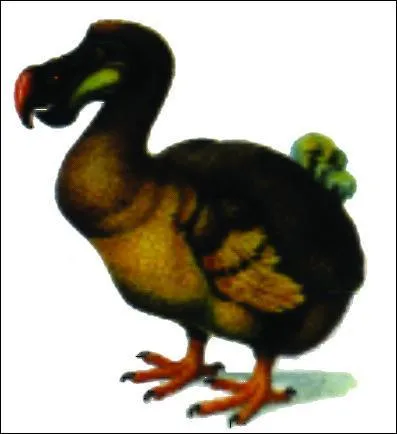 Comment s'appelle ce pokemon ?