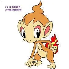 Comment s'appelle ce Pokmon ?