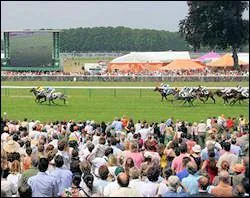 Comment sont installs les chevaux pour les courses d'obstacles ?