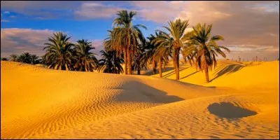 Quel est le plus vaste désert du monde ?