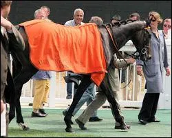 Et la cote leve alors ?