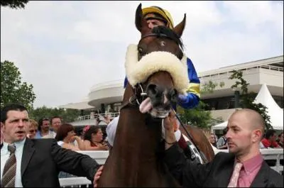 Nostalgiques pronostiqueurs, chassez l'intrus !