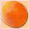 Quel est cet agrume, hybride de l'orange et du pamplemousse ?
