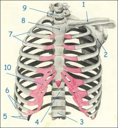 Quel est le nom des ctes numrotes 5 ?