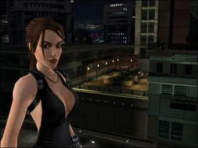 De quel jeu est tire cette image ?