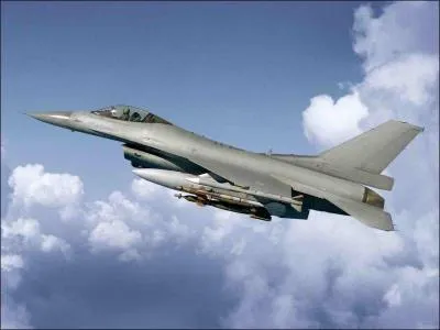 Cet avion de chasse est un: