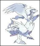 Qui est le Pokmon lgendaire de la version noire ?
