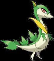 Comment s'appelle ce Pokmon ?