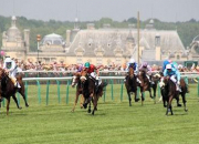 Quiz Le monde des courses hippiques ( 3eme partie)