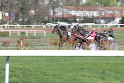 Depuis 2008, l'auteur d'un faux dpart est sanctionn par l'obligation de courir derrire un concurrent, s'il ne s'excute pas, il est disqualifi ?