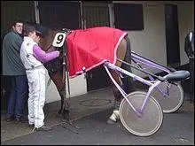 Dans une course de trot attel le driver est install 'sur un quoi' ?