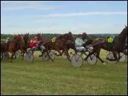 Sur les barrires de l'autostart on retrouve le n des chevaux qui doivent se positionner derrire ?