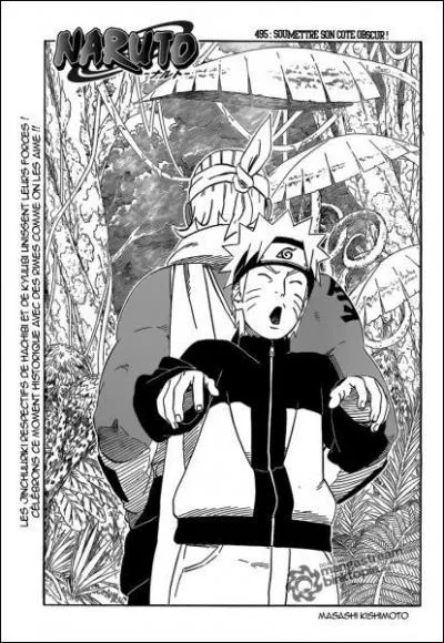 Dans quelle chapitre le combat de Naruto et Kyubi commence ?