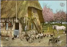 Ferme traditionnelle  colombages en ... .