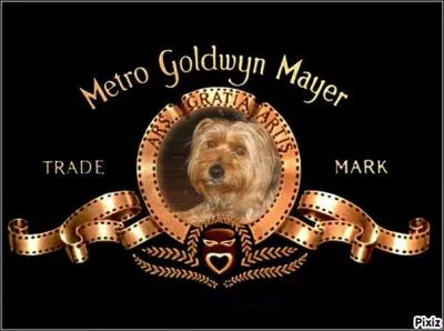 De quel animal le chien de NWT a-t-il usurp la place, dans le dans le logo de la Mtro-Goldwyn-Mayer ?