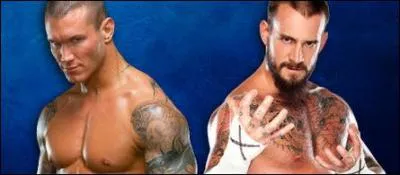 Randy Orton vs CM Punk : qui est le vainqueur ?