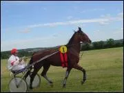 Cette photo 'course hippique' se situe o donc ?