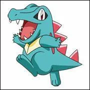 Quel est ce Pokmon ?