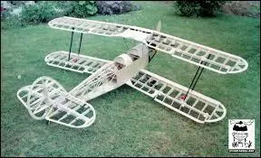 Il a construit un modèle réduit en...