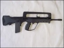 Quelle est cette arme ?
