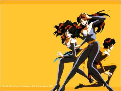 Dans quel manga voit-on ces trois jolies Cambrioleuses ?