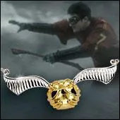 En quelle anne  Roderick Plumpton attrapa-t-il le vif d'or en trois secondes et demi ?