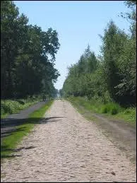 Cette anne; 51 Kilomtres de pavs seront parcourus en... .