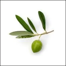 Cette image est-elle un prnom ?