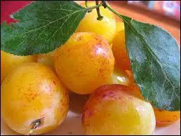 Ce fruit correspond-il  un prnom ?