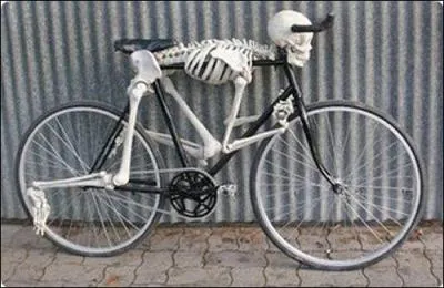 Dans quel pays a t dcouvert le squelette australopithque de Lucy ?