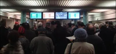 Ensuite, je me dirige vers les crans, qui m'indiquent la cote des chevaux ( est-ce qu'ils ont souvent jou ou pas ) ?