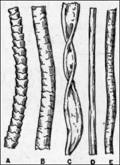 Quelle fibre textile végétale peut-être 'organdi' ?
