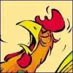 N'oublions pas le coq :