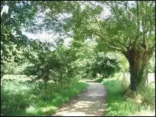 La promenade du dimanche des Niortais :