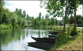 Un superbe lieu de balade  Niort : les bords de... .