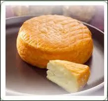 Quel est ce fromage, spcialit de la Cote d'Or ?