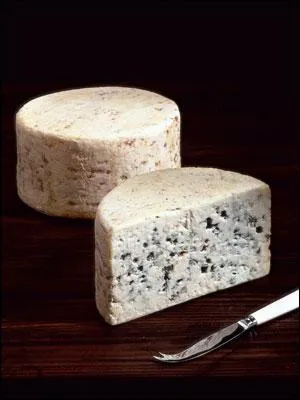 Le(s)quel(s) de ces fromages est (sont) une (des) pte(s) persille(s) ?