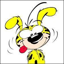 Quel est le pays du Marsupilami ?