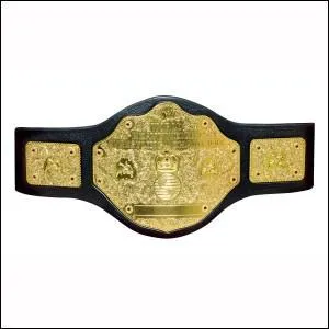 Qui a t le plus de fois champion du monde poids lourd ?