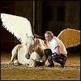 Quel est ce cheval dans le show de Jean-Marc Imbert ?