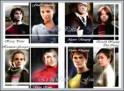 Qui sont les 4 sorciers dsigns par la coupe de feu ?