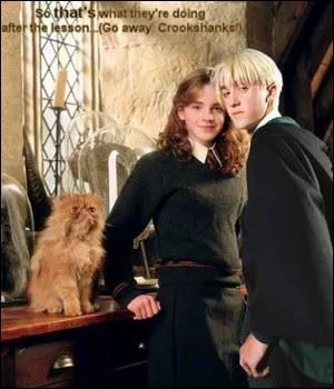 Malefoy insulte Hermione de ...